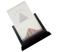 Dalton Board Modèle de démonstration de probabilité physique visuelle Aide pédagogique pour l'école et le laboratoire Activité d'apprentissage à domicile Outil d'expérimentation de droit statistique