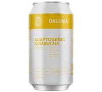DALUMA - Ginger Gun Adaptogenic Kombucha - Liquide 330 ml