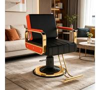 Dalumian Fauteuil de Coiffure Professionnel pour stylistes et coiffeurs - Idéal pour Le tressage - Siège Large - Hauteur réglable (83-93 cm) - Équipement pour Salons de beauté et spas(C)
