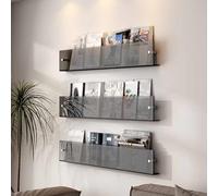 Dalumian Lot de 3 porte-revues en acrylique transparent, présentoir pour brochures et documents, organiseur de littérature, étagère murale pour salle d'attente, salon, bureau ou maison(Gray,100cm)
