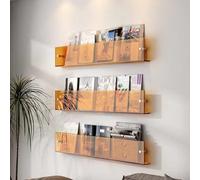 Dalumian Lot de 3 porte-revues en acrylique transparent, présentoir pour brochures et documents, organiseur de littérature, étagère murale pour salle d'attente, salon, bureau ou maison(Orange,40cm)