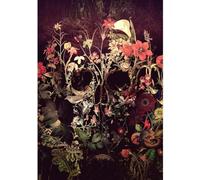 DALWI Kit de peinture par numéros pour adultes et enfants - Peinture par numéros - Motif tête de mort et roses - Toile - Décoration de mariage - Cadeau 40 x 50 cm
