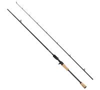 Dam Canne Baitcasting Intenze2