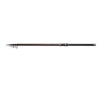 Dam Backbone Ii Stellfisch Carpfishing Rod Argenté 6.00 m / 50-100 g