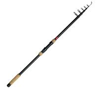 Dam Canne Carpfishing Spezi Stick Ii Carp Tele