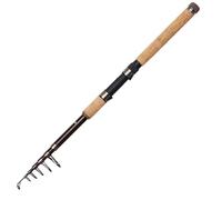 DAM Cult-X Big Spin, Cannes à Pêche, Cannes à Pêche Spinning, Pêche au Coup, Unisex, Noir, 1,98 m, 30-100 g