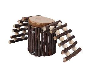 Dam Skerisi Maison pour Hamster et échelle d’Escalade, Ensemble de Plateforme avec clôture en Bois pour Petits Animaux de Compagnie, repaire en Bois de Pommier avec activités d’Escalade pour