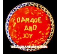 Damage And Joy