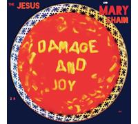 Damage And Joy Édition Deluxe
