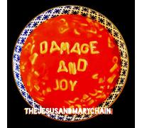Damage And Joy