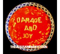 America Digital Accessories – Damage And Joy