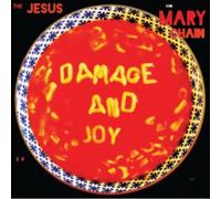 America Digital Accessories – Damage And Joy