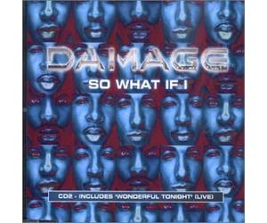 Damage - So What If I