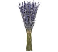 Damaiyyy Bouquet Sec de Lavande 100 tiges 42 cm de Longueur Fleurs de Lavande de Provence