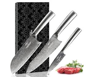 Damaskus-Küchenmesser-Set, 3-teilig, mit Kochmesser, Santoku-Messer und Schälmesser, VG10-Stahl, 67 Lagen, überlegene Damaskus-Stahl-Messerklingen, scharfer Damaskus im gehämmerten Griffen
