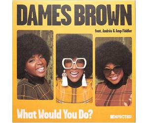 Dames Brown Featuring Andres & Amp Fiddler - What Would You Do?