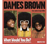 Dames Brown Ft. Andres & Amp Fidler - What Would You Do (Remixes) [Import]