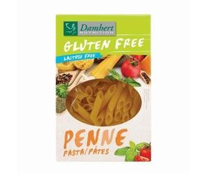 DAMHERT PENNE PATES S/GLUTEN 250G