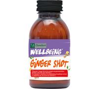 Damhert Wellbeing Ginger Shot Bio 75ml
