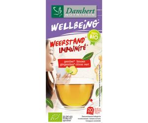 Damhert Wellbeing Thé Gingembre Citron Vert Bio 20 Sachets