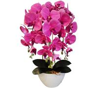 Damich 3pgz Orchidée artificielle rose en caoutchouc comme vivante, 3pgo2