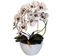 Damich Orchidée Artificielle en Pot de Fleur Plante Artificielle Orchidée Artificielle Décoration 2 Branches de Fleurs Hauteur env. 50 cm (Multicolore)