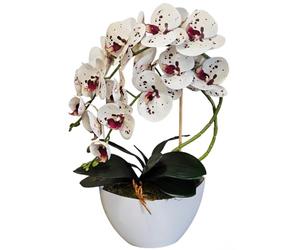 Damich Orchidée Artificielle en Pot de Fleur Plante Artificielle Orchidée Artificielle Décoration 2 Branches de Fleurs Hauteur env. 50 cm (Multicolore)