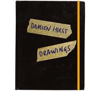 Damien Hirst Drawings /anglais