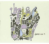 Damien Rice - 9