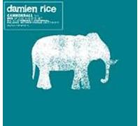 Damien Rice - Cannonball [Import]