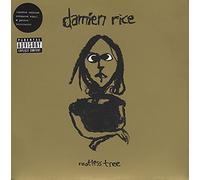 Damien Rice - Rootless Tree [Vinilo]