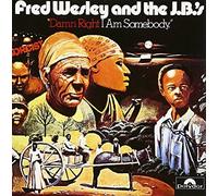 Damn Right I Am Somebody