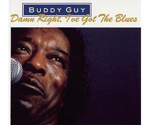 Damn Right I've Got The Blues
