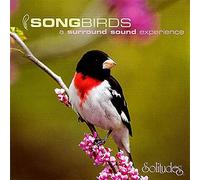 Dan Gibson - Songbirds