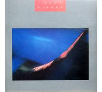 Dan Siegel [Vinyl LP]