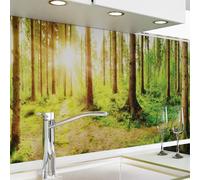 danario Crédence Adhésive pour Cuisine I Panneau mural décoratif autocollant | Protège mur cuisine | Décoration aspect mat | 0,40 mm | Forêt - 60 cm x 220 cm