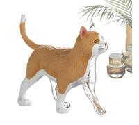 d'anatomie du Chat 4D Aide d'apprentissage 4D