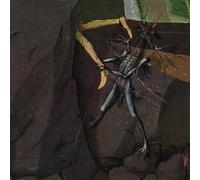 Danava Hemisphere of Shadows (Vinyl) 12" Album