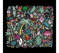 Dance All Night [DIGIPACK] [Import]