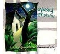 Dance Beneath The Diamond Sky