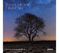 Dance Of The Night Sky