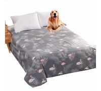 Danchen Couverture de protection imperméable pour lit pour chien et chat - Lavable - Imperméable - 250 x 230 cm - Gris