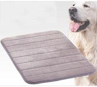 Danchen Lit pour chien et chat - 60 x 40 cm - Lavable - Mousse douce et fine - Coussin orthopédique antidérapant