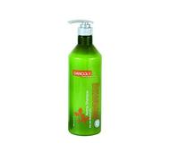 Dancoly Aroma Shampooing pour cheveux gras et pellicules 1000 ml