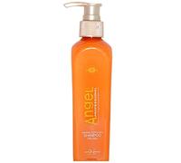 Dancoly Paris Angel Shampooing professionnel pour cheveux gras 500 ml