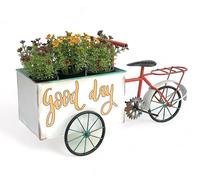 DanDiBo 96529 Vélo à fleurs en métal pour jardin Blanc Rouge