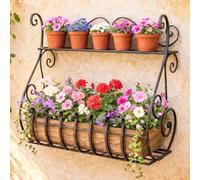 DanDiBo Support de Fleurs Mural SUBITO 77904 Porte Fleurs en métal Etagère Murale Etagère à Fleurs