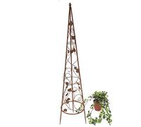 DanDiBo Support pour Plantes grimpantes Pyramide 082547 en métal 95cm bis164cm Support pour Plantes grimpantes Espalier Liane (M - 118 cm)