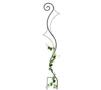 DanDiBo Support pour Plantes grimpantes Riva Treillis en métal H-148cm L-30cm Support pour Plantes grimpantes insérer dans Le Sol