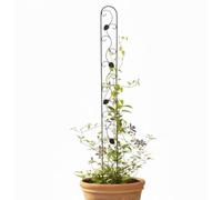 DanDiBo Tuteur en métal - 140 cm - Noir - Aide à l'escalade - Piquet de sol - Support de fleurs - 96249